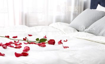 Shimla Kullu Manali Honeymoon Tour